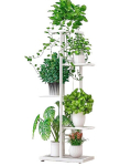Lillealus Ficus 43x22x98cm, valge