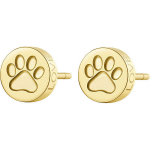 Terasest K&otilde;rvar&otilde;ngad naistele S`Agap&otilde; Click SCK61 sSA0785