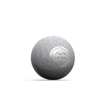 Interaktiivne kassipall Cheerble