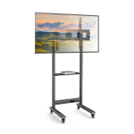 Techly TV 50-90"