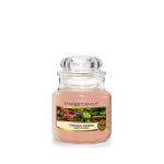Yankee Candle Aroomik&uuml;&uuml;nal Classic v&auml;ike Tranquil Garden 104 g