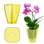 Orhidee lillepoti plastiklillede lillepoti kate 12 cm kollane