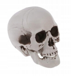 Kunstlik kolju halloweeni dekoratsioon 11Cm halloweeni dekoratsioon 11Cm