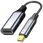 CO2 ADAPTER MINI DISPLAYPORT - DISPLAYPORT 1.4 ADAPTER MINI DP 8K 60HZ