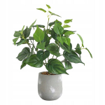 KUNSTKASVATUS REALISTILISES TEINES 38cm PHILODENDRON KODUTAMISEKS KODUTAMISEKS