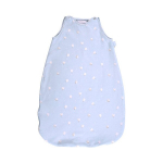 Talvine magamiskott imikutele Lorelli Ranforce Little Bear Blue, 12-18 kuud