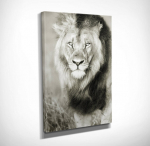 Pilt l&otilde;uendil M&otilde;tlik l&otilde;vi