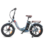 Elektrijalgratas Fafrees F20 Pro 20", roheline