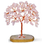 YATSKIA bonsai puu roosakvarts