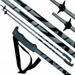 Suusakepid Fizan Action 135 cm, hall