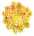 Scrapbooking kleepsud 30 tk/kompl. lilled