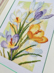 Riolis ristpistes komplekt Spring Glow Crocuses, loendatud muster
