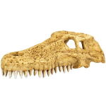 Krokodilli kolju dekoratsioon akvaariumile v&otilde;i terraariumile Repti-Zoo Crocodile Skull M