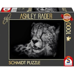 Schmidt Spiele pusle Ashley Rader: Speed - Gepard, in Zeichen the Anmut (1000-osaline)