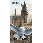 R&auml;tik Harry Potter 70x140 cm