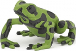 Figuriin Grenouille Ekvaatoriline Roheline