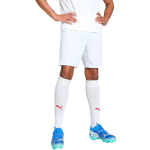 Puma Team Goal meeste valged p&uuml;ksid 705752 04