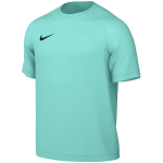 Nike Dri-Fit Park VIII meeste T-s&auml;rk, mintroheline HV8173 354, M