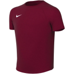 Nike Dri-Fit Park VIII laste s&auml;rk, burgundipunane HV8182 677