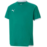 Puma teamLIGA laste s&auml;rk, roheline 704925 05, 152cm