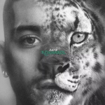 Vin&uuml;&uuml;lplaat ZAYN "Konnakol"