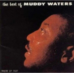 Muddy Waters - The Best of Muddy Waters (vin&uuml;&uuml;lplaat, LP)