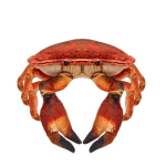 Merekrabi 26cm - Beppe