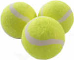 Tennisepallid Schildkrot Magic-Sports, 3 tk