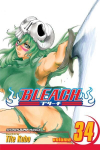 Bleach, Vol. 34: King of the Kill 11th