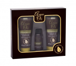 Komplekt Xpel Argan Oil: &scaron;ampoon 100 ml + juuksepalsam 100 ml + juukse&otilde;li 30 ml