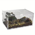 Terraarium