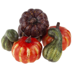 Dekoratiivk&otilde;rvitsad, 6 tk.