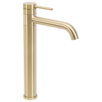 Vannitoa Segisti Rea Lungis High Brush Gold