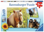 pusle ravensburgeri 3x49 tk loving horses