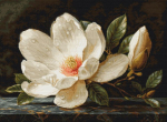 Ristpistete komplekt Luca-S. "Magnolia kaste" 38x28cm