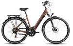 Elektriline jalgratas ProEco, 28", pruun/must