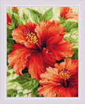 Tikkimiskomplekt Riolis 1967 Hibisk