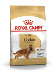 ROYAL CANIN t&auml;iskasvanud kokkerspanjelitele Cocker adult, 3 kg
