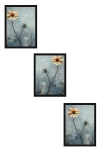 Kolmeosaline Reproduktsioon Huhu474S