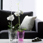 Prosperplast Orhideepott Coubi 7095035, 18cm, 16cm, 2.4L, silindriline, sisemine veereservuaar