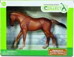 Mare Chesnut hobune pakis - Collecta