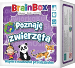 BrainBox - ma tean loomi REBEL