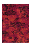 Vaip Vintage 5206, 170x240 cm, punane