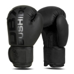 Poksikindad Dbx Bushido B-2v21 Active Clima 12oz