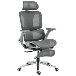 Ergonoomiline kontoritool 67x74x113&ndash;132 cm hall