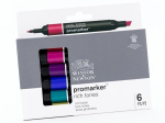 Alkoholi baasil markerite komplekt W&N Promarker 2 otsaga 6tk rich tones