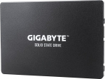 Gigabyte GP-GSTFS31100TNTD