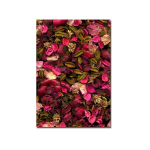 Reproduktsioon l&otilde;uendil Kroonlehed