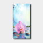 Reproduktsioon Orhidee