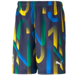 Meeste spordip&uuml;ksid Puma Neymar Jr. Future Printed Short M 605552-06, erinevad v&auml;rvid